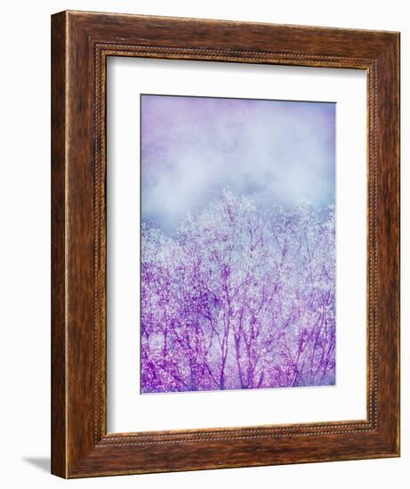 Composing, Trees, Layered with Texture and Paint in Violet and Blue-Alaya Gadeh-Framed Photographic Print