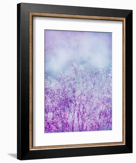 Composing, Trees, Layered with Texture and Paint in Violet and Blue-Alaya Gadeh-Framed Photographic Print