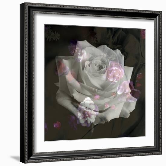 Composing, White Rose Layered with Pink Blossoms on Black Background-Alaya Gadeh-Framed Photographic Print