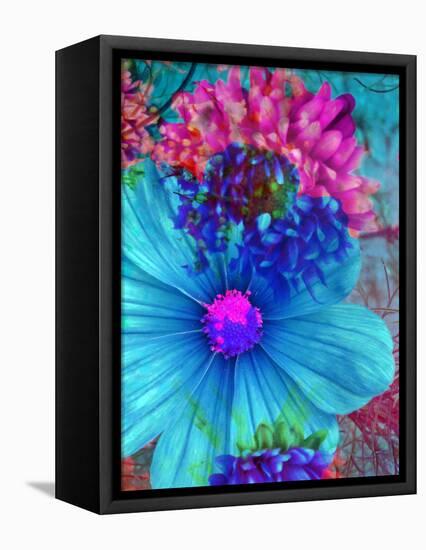 Composing with Blue and Pink Blossoms-Alaya Gadeh-Framed Premier Image Canvas