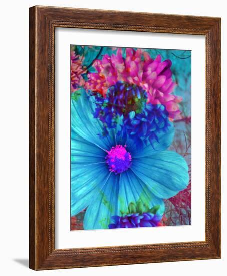 Composing with Blue and Pink Blossoms-Alaya Gadeh-Framed Photographic Print