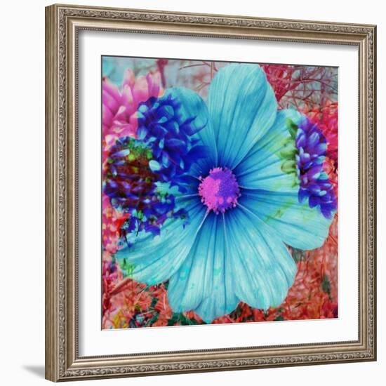 Composing with Blue Flowers-Alaya Gadeh-Framed Photographic Print
