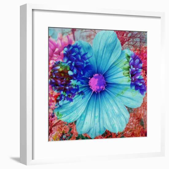 Composing with Blue Flowers-Alaya Gadeh-Framed Photographic Print