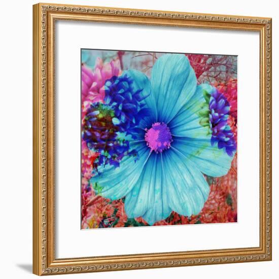 Composing with Blue Flowers-Alaya Gadeh-Framed Photographic Print