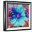 Composing with Blue Flowers-Alaya Gadeh-Framed Photographic Print