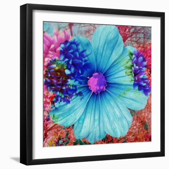 Composing with Blue Flowers-Alaya Gadeh-Framed Photographic Print