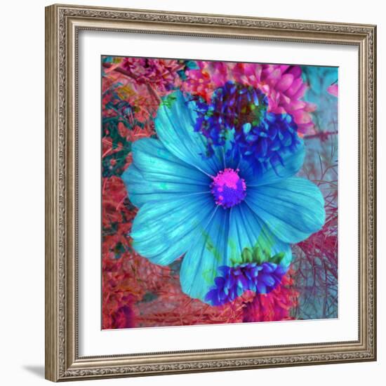 Composing with Blue Flowers-Alaya Gadeh-Framed Photographic Print