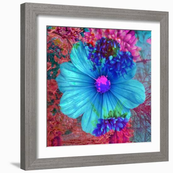 Composing with Blue Flowers-Alaya Gadeh-Framed Photographic Print