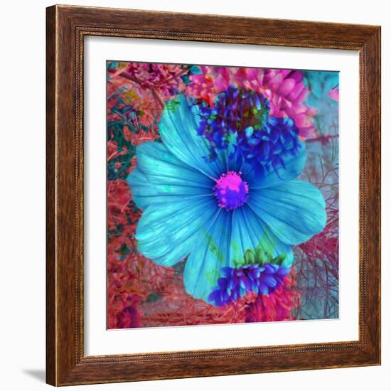 Composing with Blue Flowers-Alaya Gadeh-Framed Photographic Print