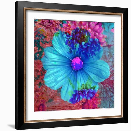 Composing with Blue Flowers-Alaya Gadeh-Framed Photographic Print