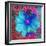 Composing with Blue Flowers-Alaya Gadeh-Framed Photographic Print