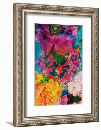 Composing with Coloured Blossoms in the Water-Alaya Gadeh-Framed Photographic Print