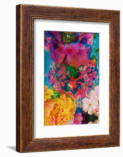 Composing with Coloured Blossoms in the Water-Alaya Gadeh-Framed Photographic Print