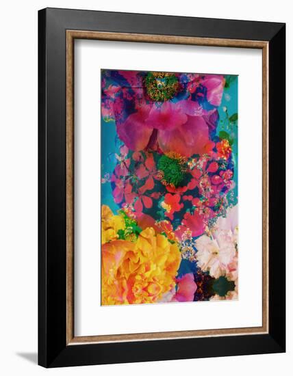 Composing with Coloured Blossoms in the Water-Alaya Gadeh-Framed Photographic Print