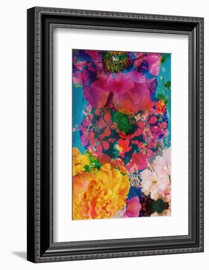 Composing with Coloured Blossoms in the Water-Alaya Gadeh-Framed Photographic Print