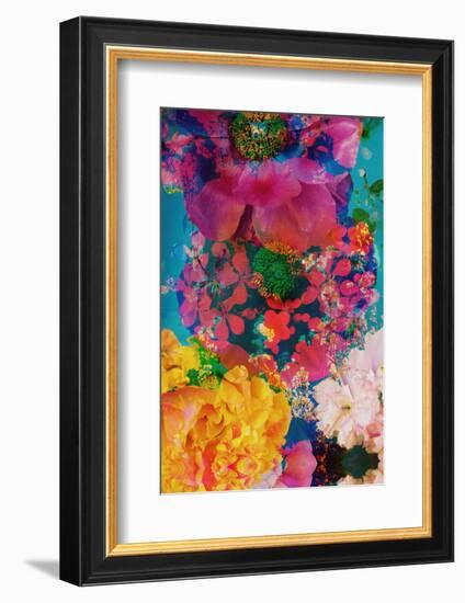Composing with Coloured Blossoms in the Water-Alaya Gadeh-Framed Photographic Print