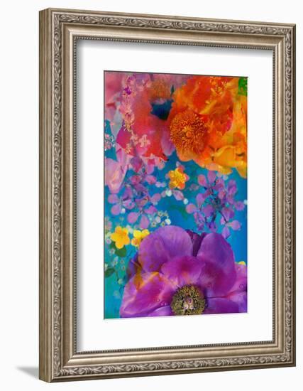 Composing with Coloured Blossoms-Alaya Gadeh-Framed Photographic Print