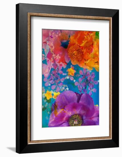 Composing with Coloured Blossoms-Alaya Gadeh-Framed Photographic Print