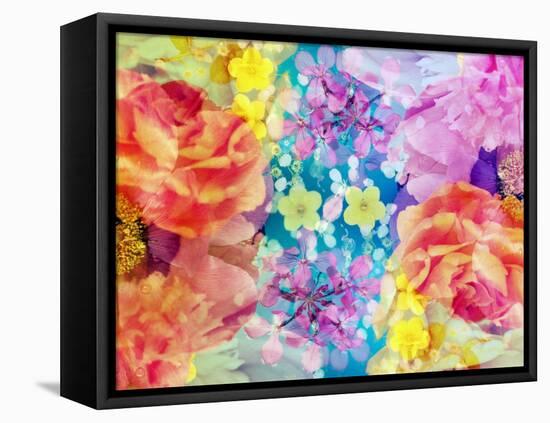 Composing with Coloured Blossoms-Alaya Gadeh-Framed Premier Image Canvas