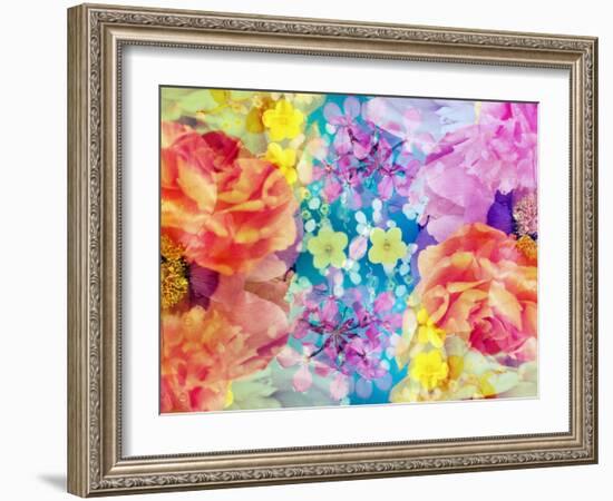 Composing with Coloured Blossoms-Alaya Gadeh-Framed Photographic Print