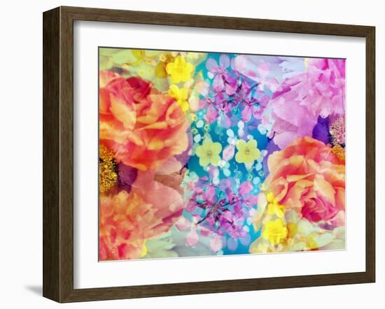 Composing with Coloured Blossoms-Alaya Gadeh-Framed Photographic Print