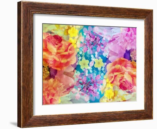 Composing with Coloured Blossoms-Alaya Gadeh-Framed Photographic Print