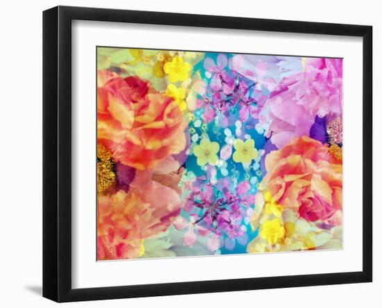 Composing with Coloured Blossoms-Alaya Gadeh-Framed Photographic Print