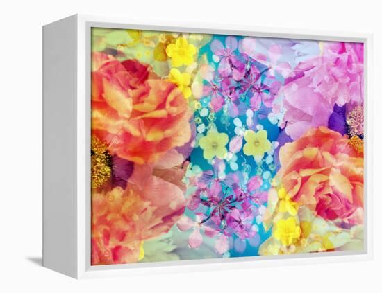 Composing with Coloured Blossoms-Alaya Gadeh-Framed Premier Image Canvas