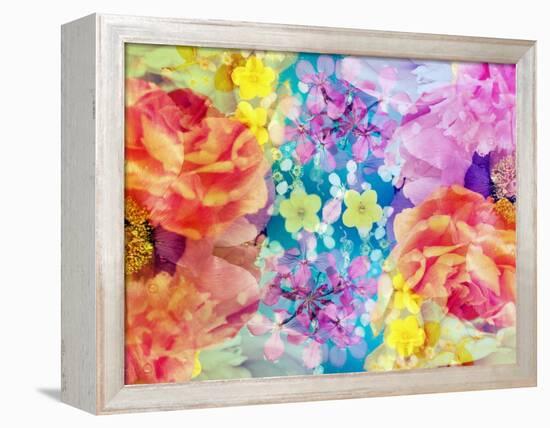 Composing with Coloured Blossoms-Alaya Gadeh-Framed Premier Image Canvas