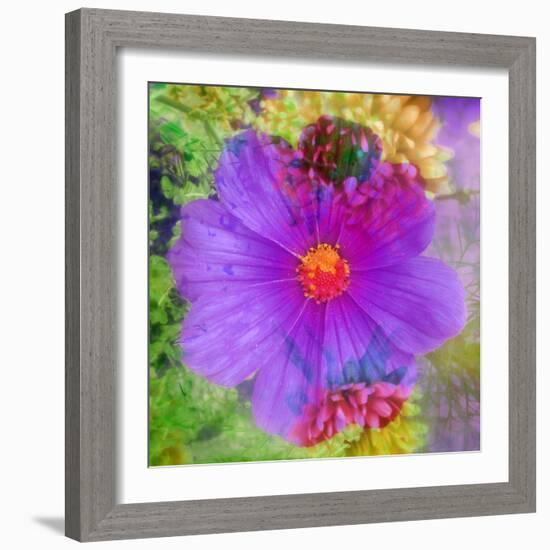 Composing with Coloured Blossoms-Alaya Gadeh-Framed Photographic Print