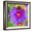 Composing with Coloured Blossoms-Alaya Gadeh-Framed Photographic Print