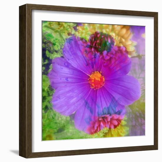 Composing with Coloured Blossoms-Alaya Gadeh-Framed Photographic Print