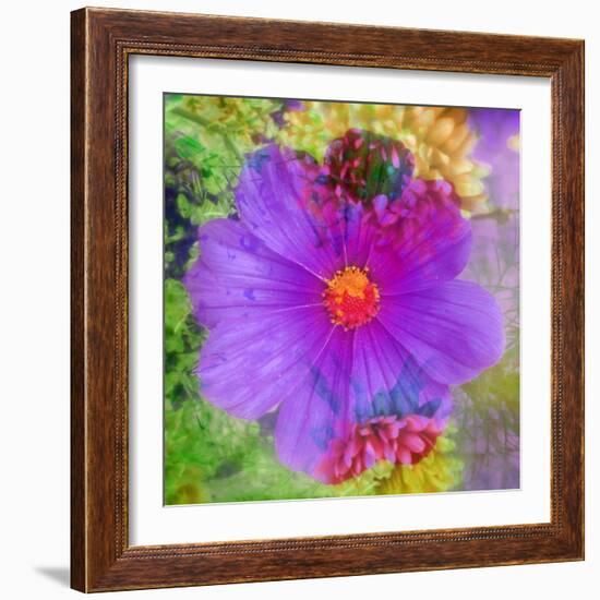 Composing with Coloured Blossoms-Alaya Gadeh-Framed Photographic Print