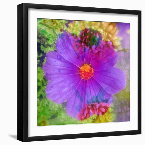 Composing with Coloured Blossoms-Alaya Gadeh-Framed Photographic Print