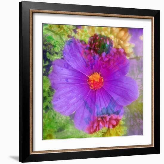 Composing with Coloured Blossoms-Alaya Gadeh-Framed Photographic Print