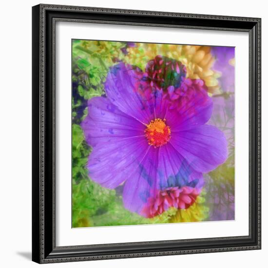 Composing with Coloured Blossoms-Alaya Gadeh-Framed Photographic Print