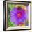 Composing with Coloured Blossoms-Alaya Gadeh-Framed Photographic Print