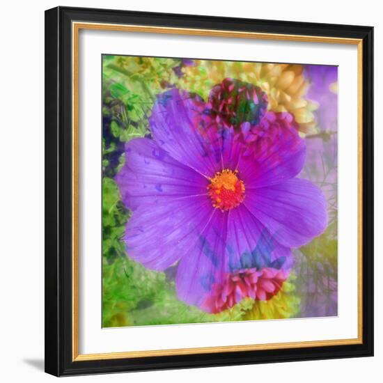 Composing with Coloured Blossoms-Alaya Gadeh-Framed Photographic Print