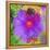 Composing with Coloured Blossoms-Alaya Gadeh-Framed Premier Image Canvas