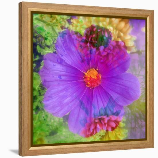 Composing with Coloured Blossoms-Alaya Gadeh-Framed Premier Image Canvas