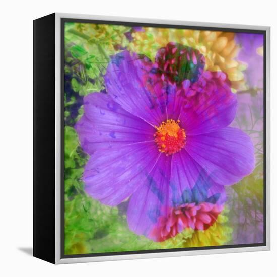 Composing with Coloured Blossoms-Alaya Gadeh-Framed Premier Image Canvas