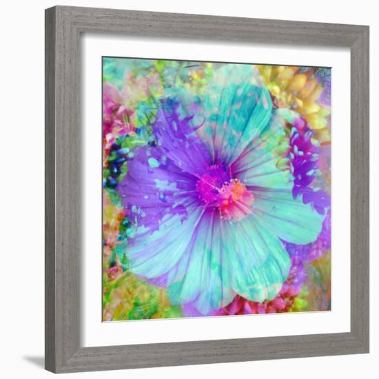 Composing with Coloured Blossoms-Alaya Gadeh-Framed Photographic Print