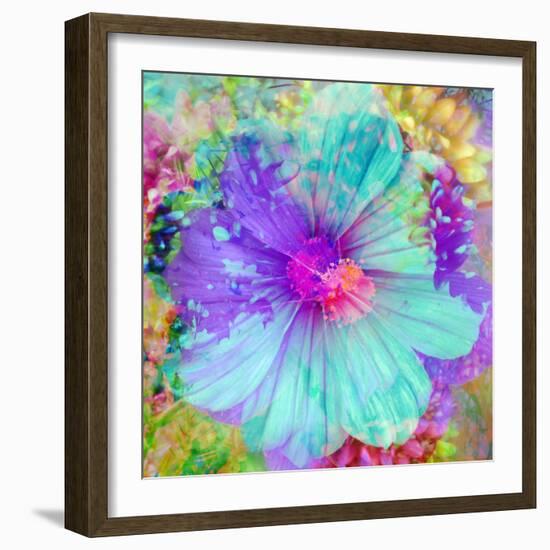 Composing with Coloured Blossoms-Alaya Gadeh-Framed Photographic Print