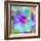 Composing with Coloured Blossoms-Alaya Gadeh-Framed Photographic Print