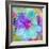 Composing with Coloured Blossoms-Alaya Gadeh-Framed Photographic Print