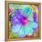 Composing with Coloured Blossoms-Alaya Gadeh-Framed Premier Image Canvas