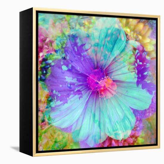 Composing with Coloured Blossoms-Alaya Gadeh-Framed Premier Image Canvas