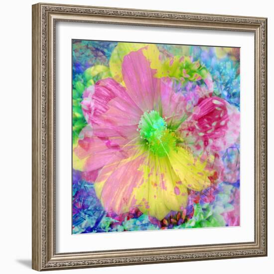 Composing with Coloured Blossoms-Alaya Gadeh-Framed Photographic Print