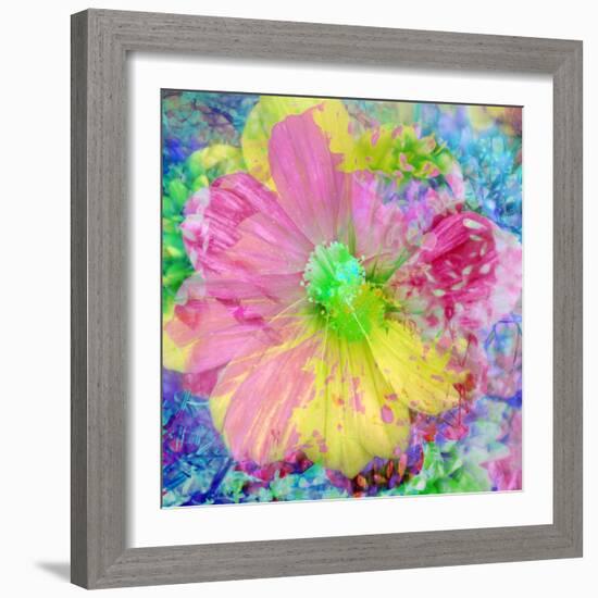 Composing with Coloured Blossoms-Alaya Gadeh-Framed Photographic Print