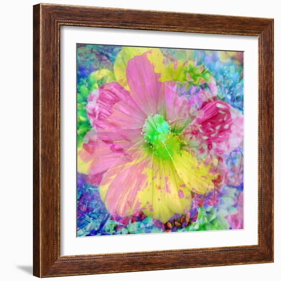 Composing with Coloured Blossoms-Alaya Gadeh-Framed Photographic Print